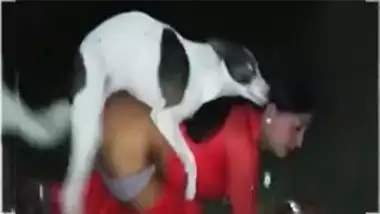 380px x 214px - Desi Aunty Fuck With Dog In A Outdoors desi porn video